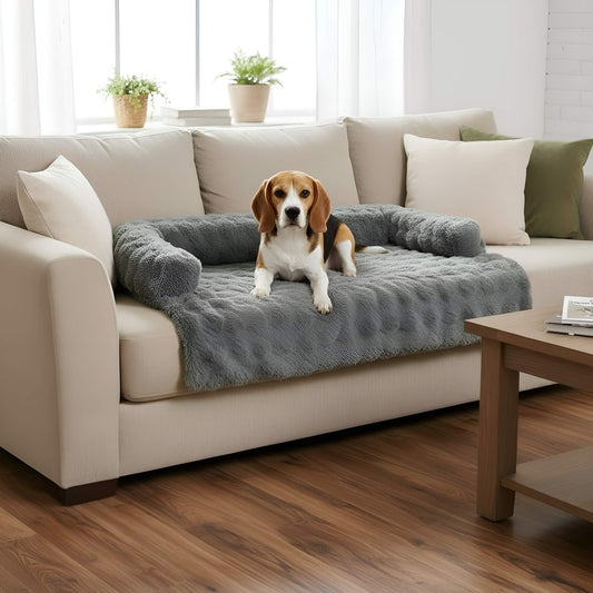 2-In-1 Furniture Protector & Premium Couch Bed