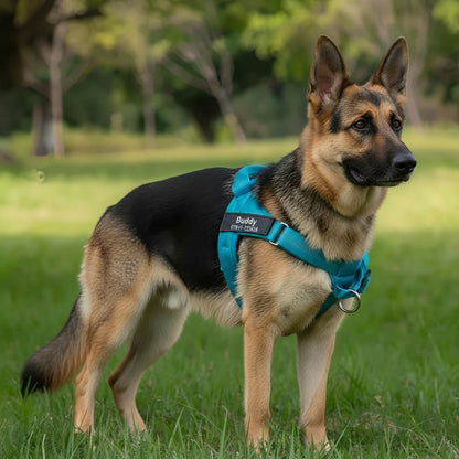 Personalized Full-Control Harness