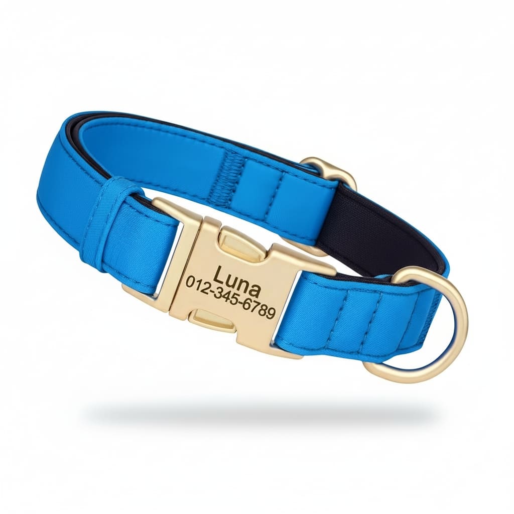 Colorful Laser-Engraved Dog Collar