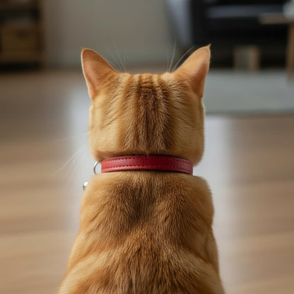 Laser-Engraved Classic Cat Collar