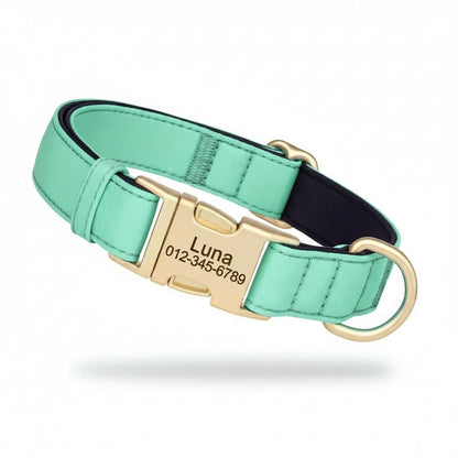 Colorful Laser-Engraved Dog Collar