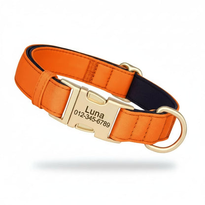Colorful Laser-Engraved Dog Collar