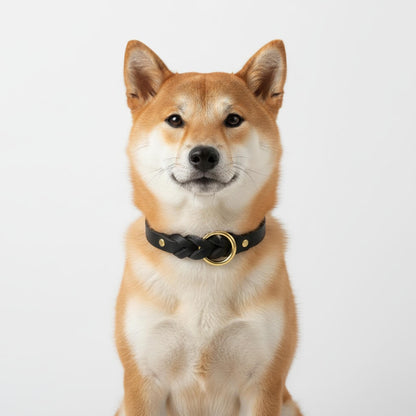 Classic Braided Leather Dog Collar