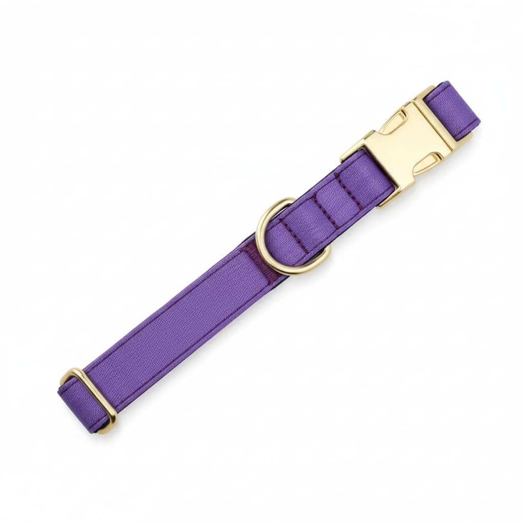Colorful Laser-Engraved Dog Collar