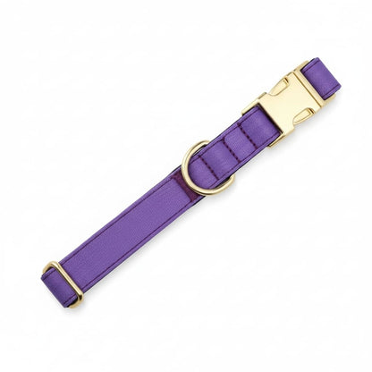 Colorful Laser-Engraved Dog Collar