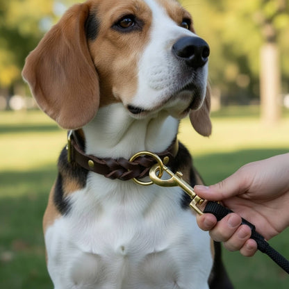 Classic Braided Leather Dog Collar