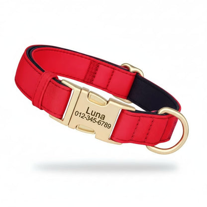 Colorful Laser-Engraved Dog Collar