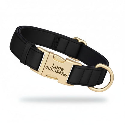 Colorful Laser-Engraved Dog Collar