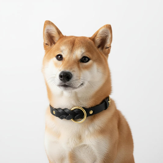 Classic Braided Leather Dog Collar