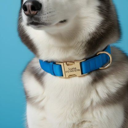 Colorful Laser-Engraved Dog Collar