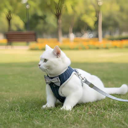 Little Explorer Cat Harness & Lead