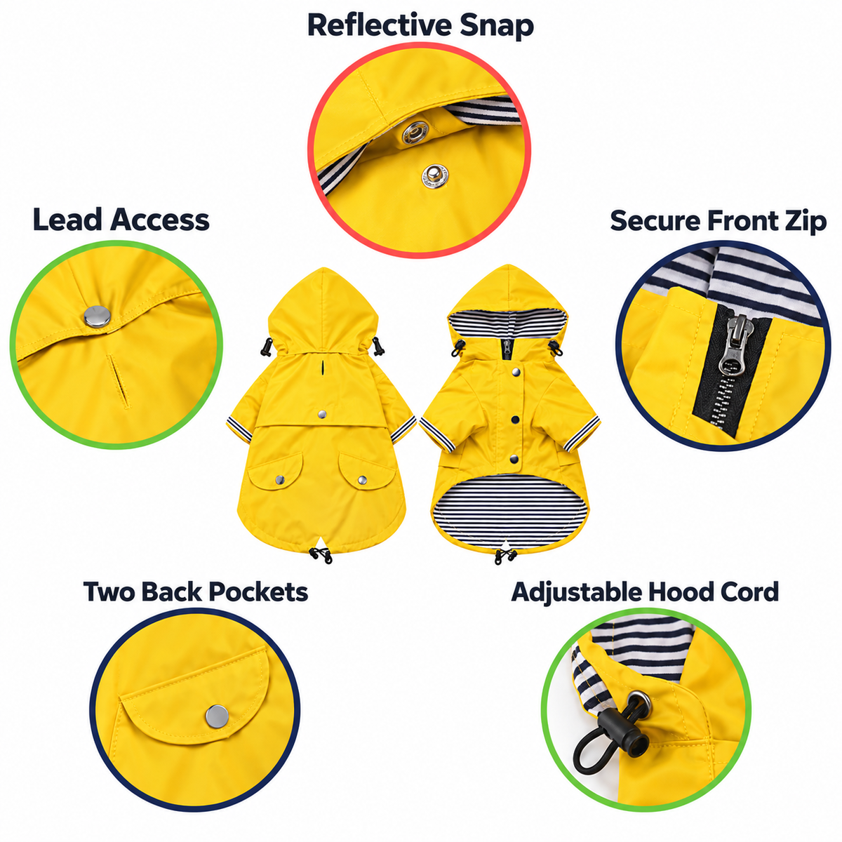 Product feature infographic