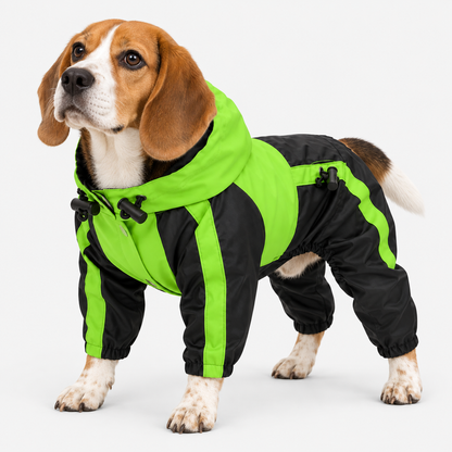Dog wearing a green raincoat in a studio