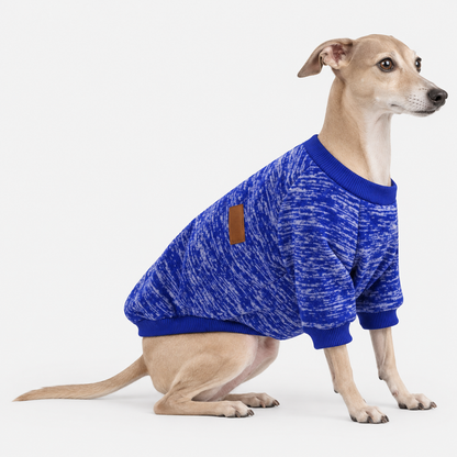 Pet using the product in a home setting