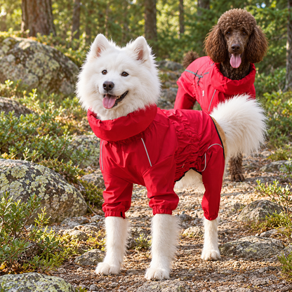Two dogs wearing red raincoats outdoors