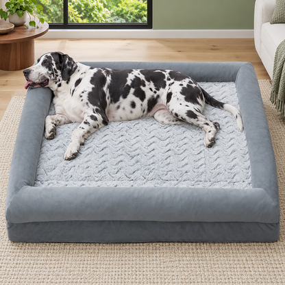 Dog using the product in a home or outdoor setting