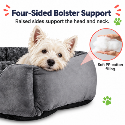 Product feature infographic