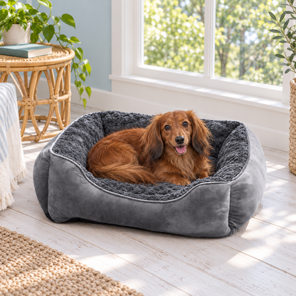 Dog using the product in a home or outdoor setting