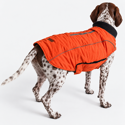 Dog using the product in a home or outdoor setting