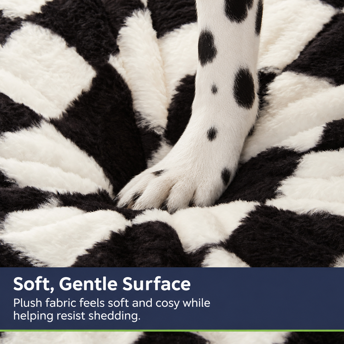 Product feature infographic