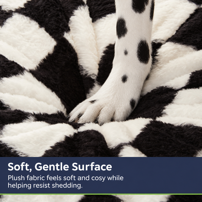 Product feature infographic