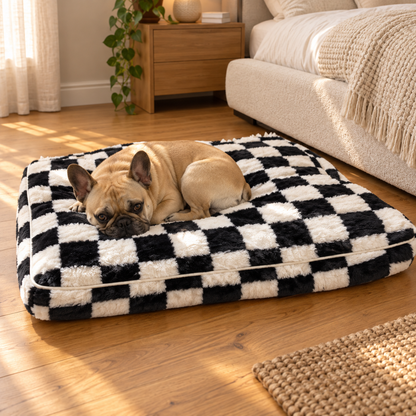 Dog using the product in a home or outdoor setting