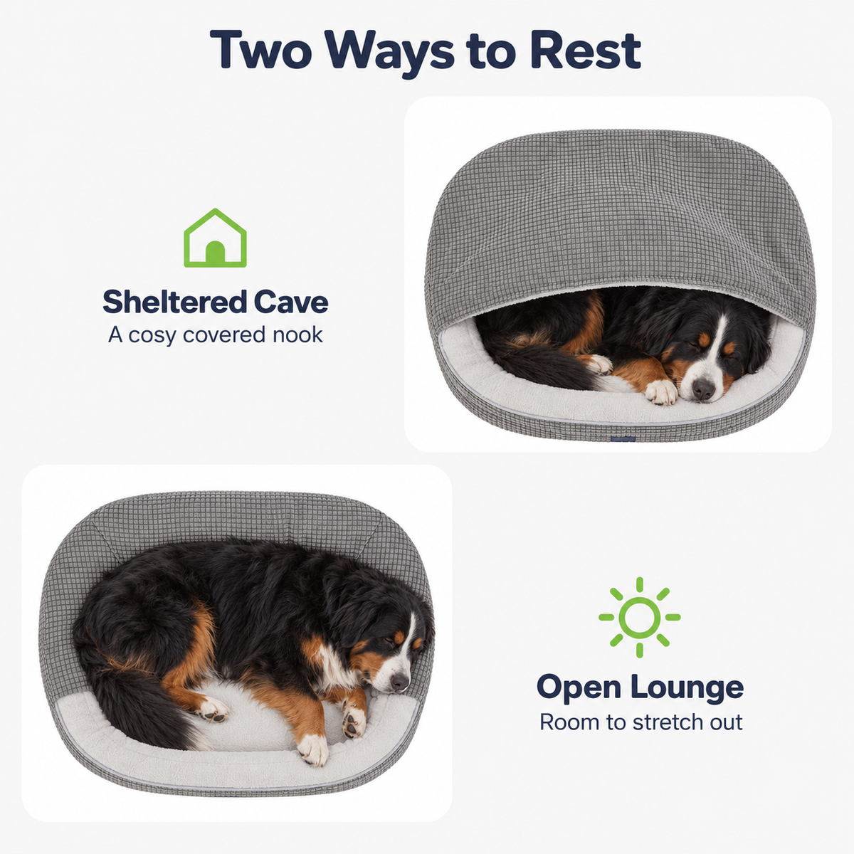 Product feature infographic