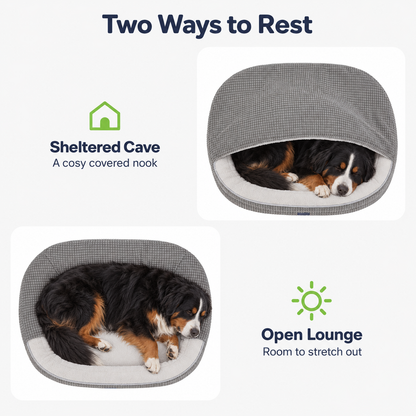 Product feature infographic