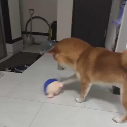 Interactive & Squeaky Moving Plush Pig Ball Toy for Dogs