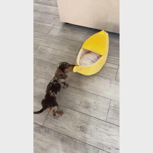 Banana Pet Bed with Hooded Blanket Cave Cover for Small Dogs & Cats