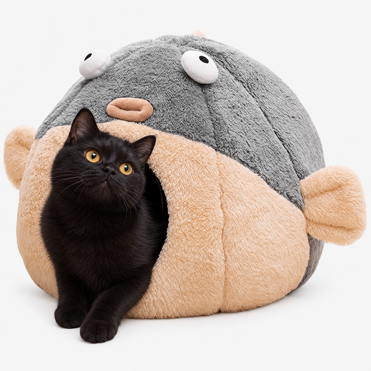 Studio view of a pet in the pufferfish cave