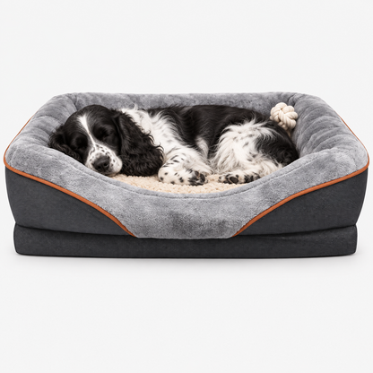 Dog sleeping against the sofa bed bolsters